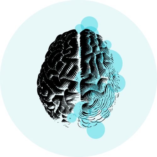 뇌의 윗모습에 다양한 크기의 반투명한 원 그림이 흩어져 있는 그림